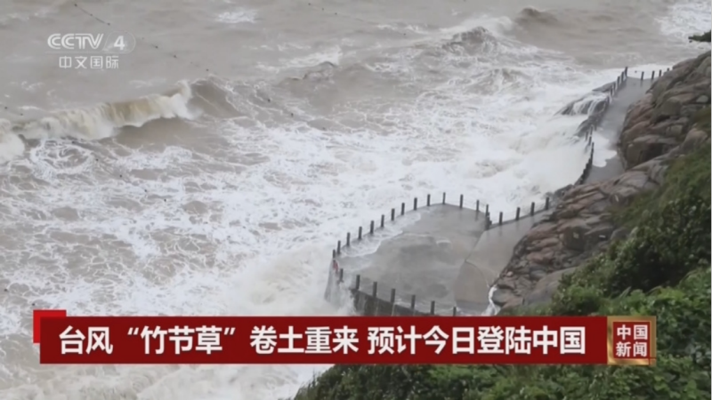 传感专家