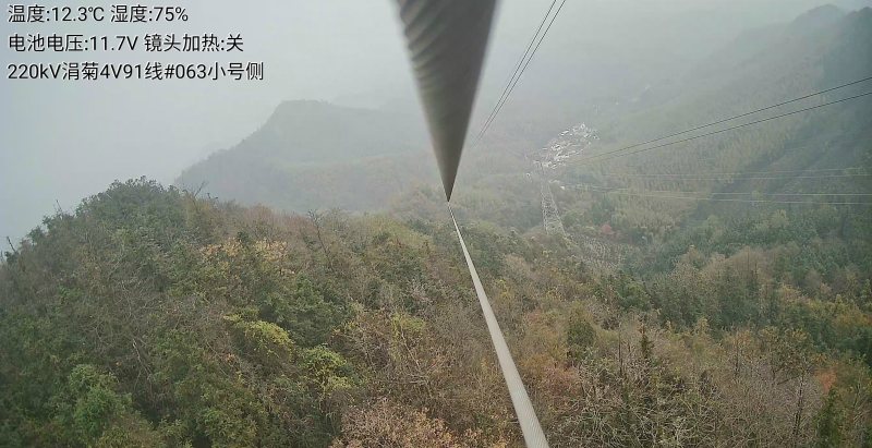 传感专家